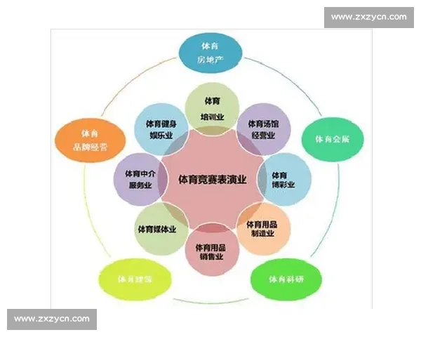 从技术含量视角解析现代体育比赛观赏价值与竞技本质深度思考探索之