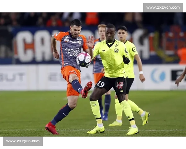 纵览法甲足球联赛球队风格与战术魅力解析及其历史演变与文化影响