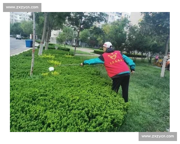 体育赛事绿色直播引领健康观赛新风尚打造文明互动共享体育盛宴新时代