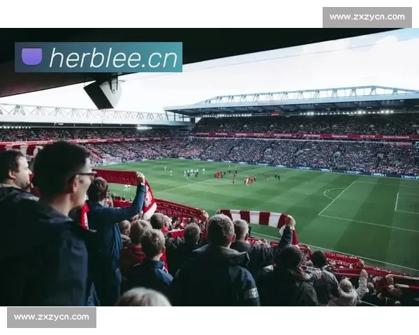 全网高清篮球比赛在线观看平台实时直播互动社区赛事数据分析中心 - 副本 - 副本 - 副本