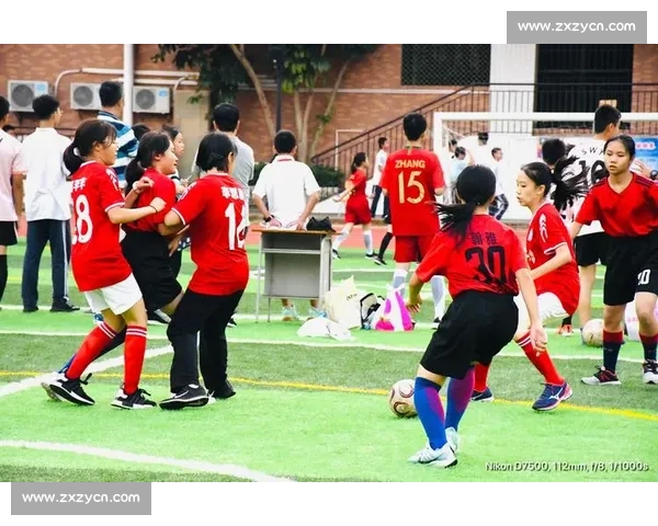 足球联赛与杯赛的规则差异与竞技形式对比分析 - 副本 - 副本